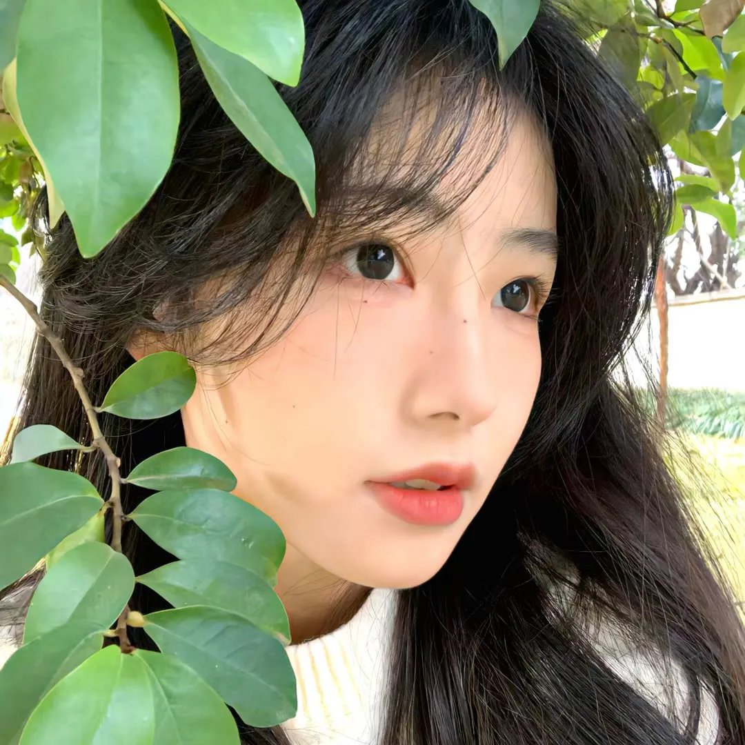 占欲情人