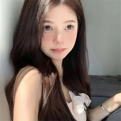 守法公民